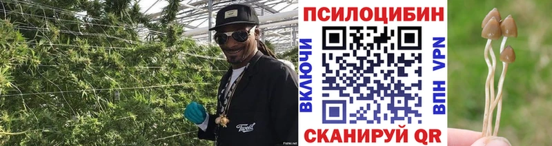 Псилоцибиновые грибы Cubensis  наркотики  Красновишерск 